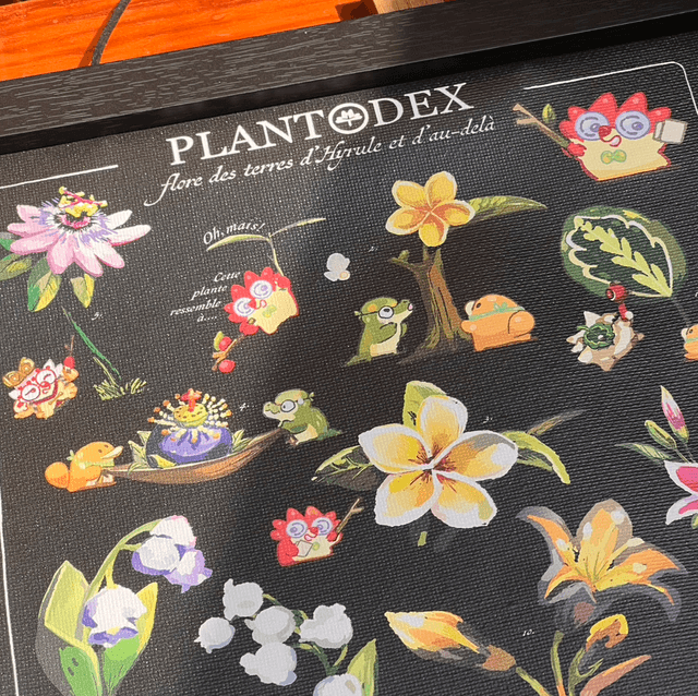 Toile A4/A3 - Plantodex Comparative d'Hyrule 