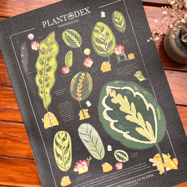 Toile A4/A3 - Plantodex Marantacea