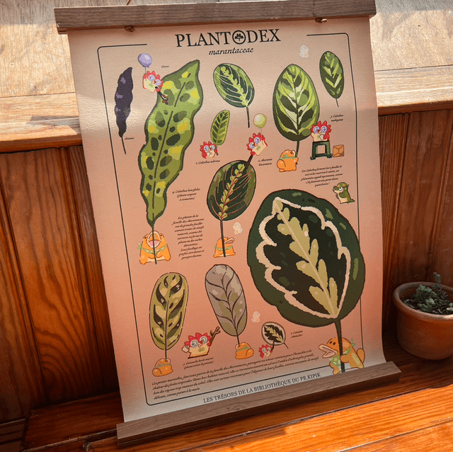 Toile A4/A3 - Plantodex Marantacea