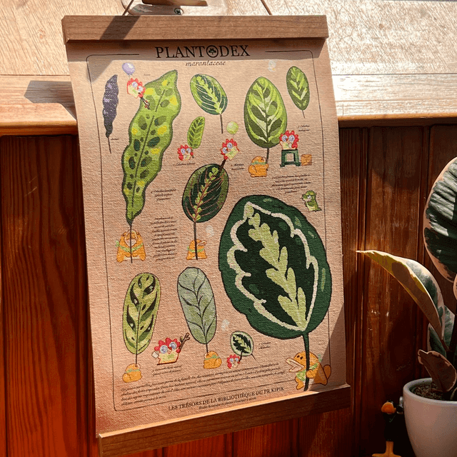 Toile A4/A3 - Plantodex Marantacea