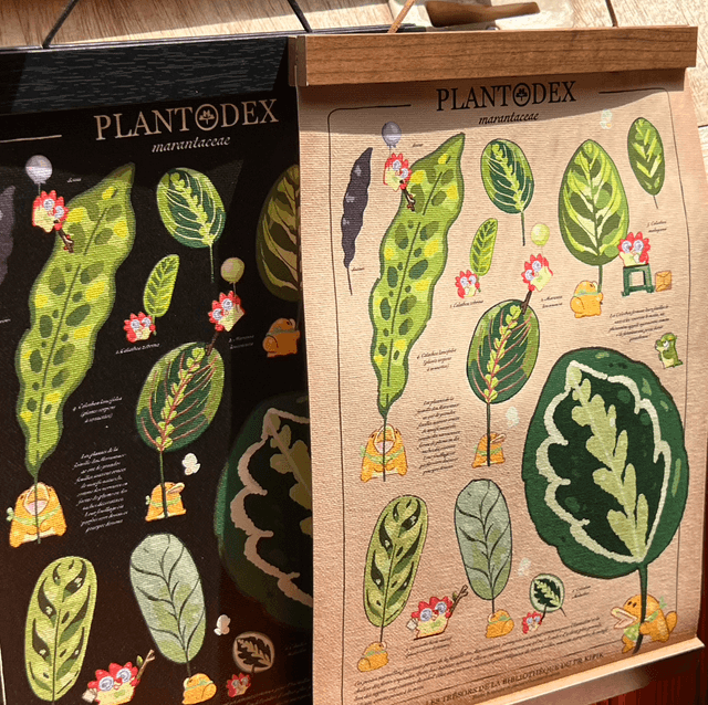Toile A4/A3 - Plantodex Marantacea