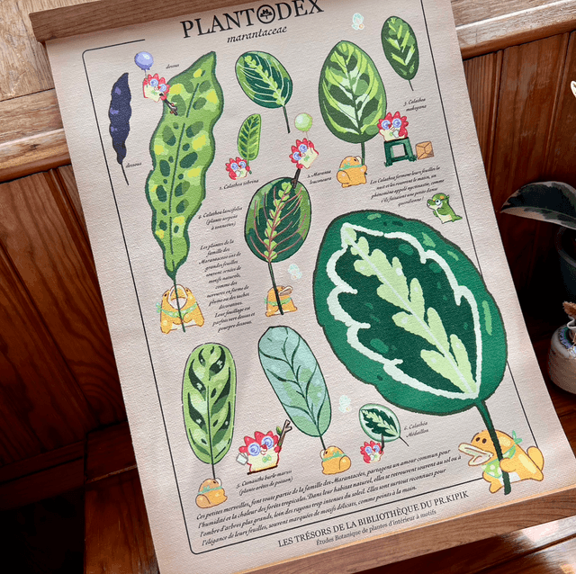 Toile A4/A3 - Plantodex Marantacea