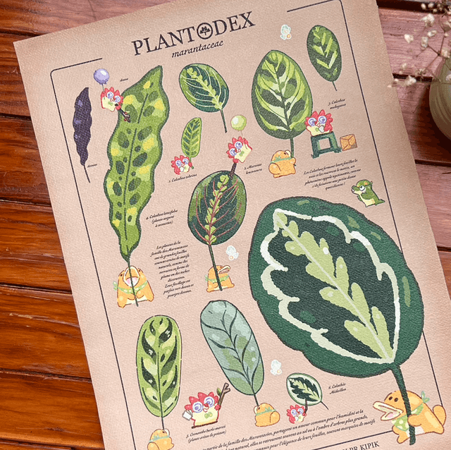 Toile A4/A3 - Plantodex Marantacea