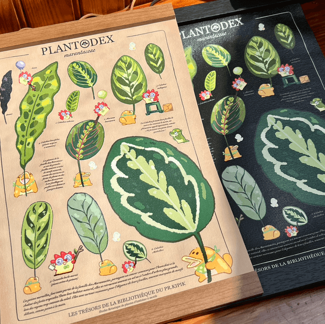 Toile A4/A3 - Plantodex Marantacea